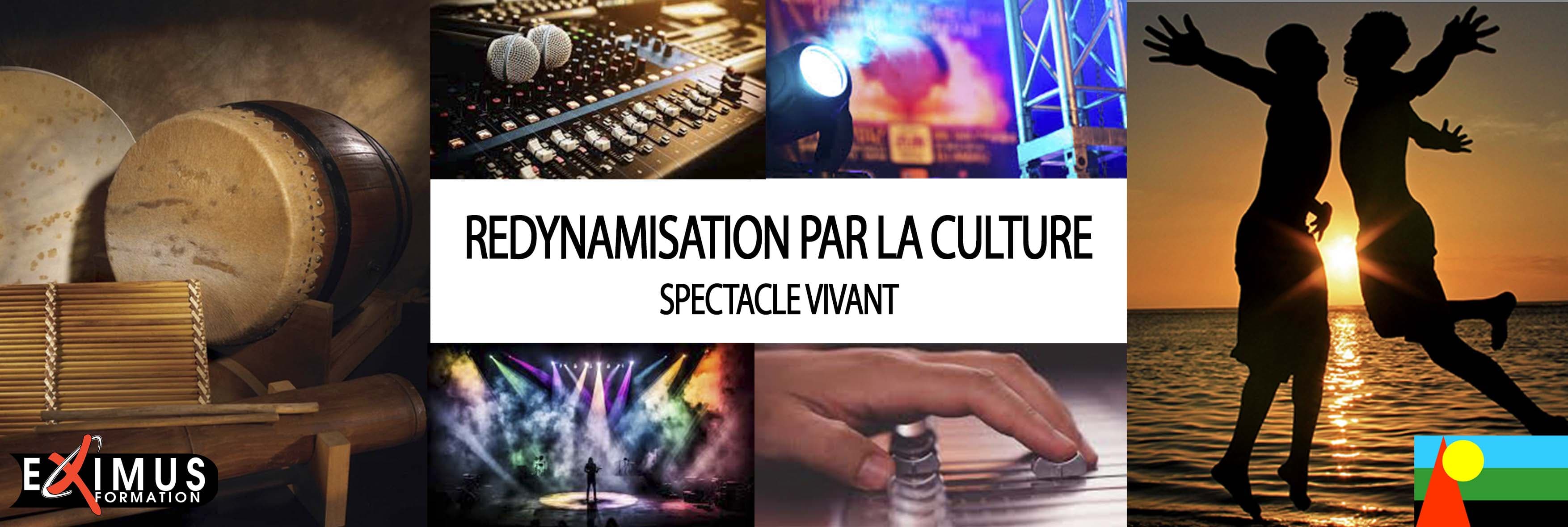 Bannière Redynamisation par la culture et spectacle vivant